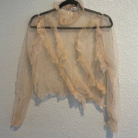 Sheer Pink Zara Shirt - Picture 1 of 2